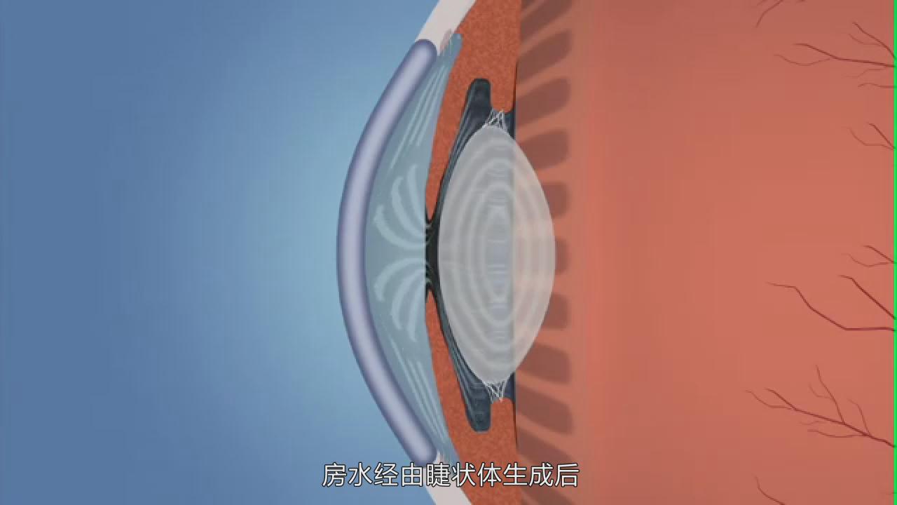 &#76;&#69;&#84;&#79;&#85;&#46;&#67;&#79;&#77;&#45;&#20048;&#25237;&#65288;&#20013;&#22269;&#65289;
