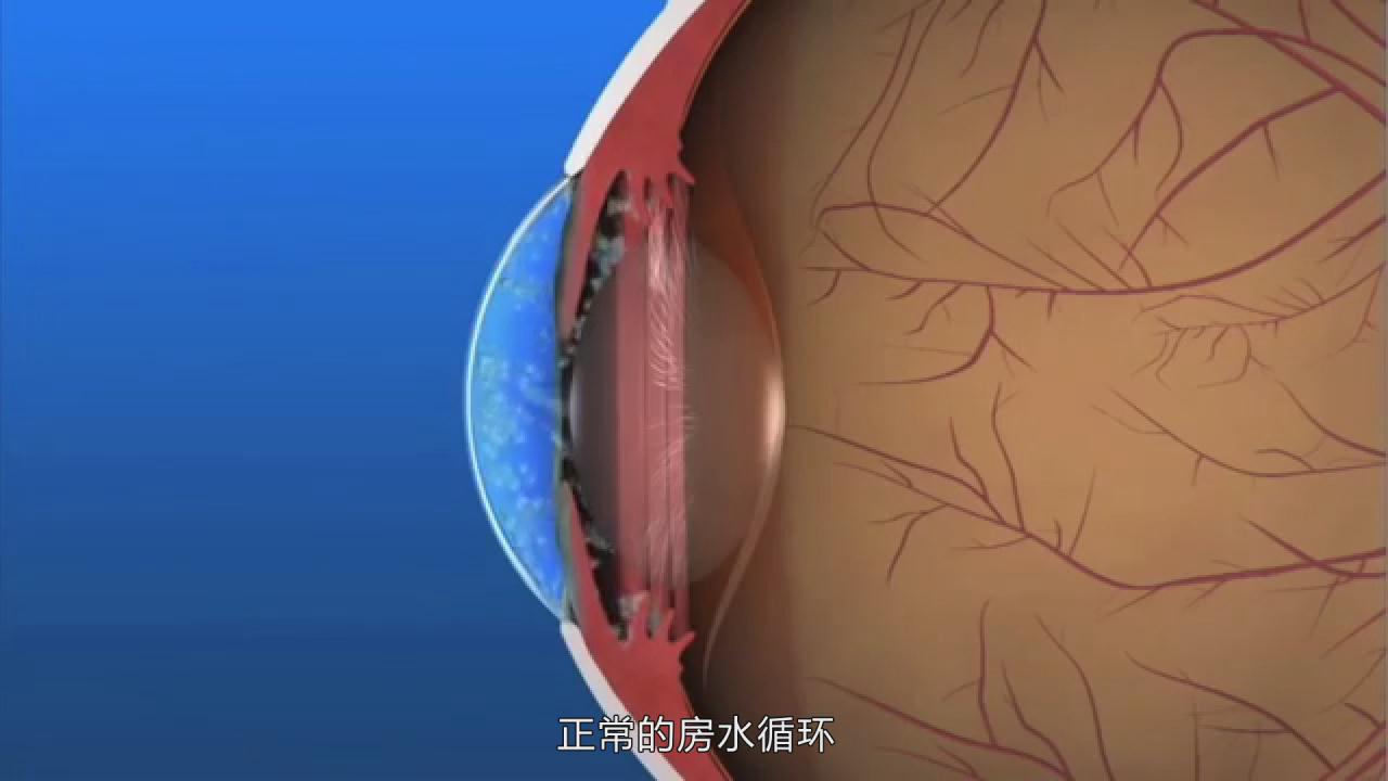 &#76;&#69;&#84;&#79;&#85;&#46;&#67;&#79;&#77;&#45;&#20048;&#25237;&#65288;&#20013;&#22269;&#65289;