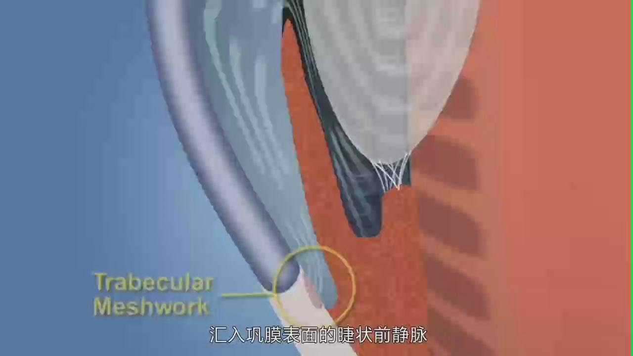 &#76;&#69;&#84;&#79;&#85;&#46;&#67;&#79;&#77;&#45;&#20048;&#25237;&#65288;&#20013;&#22269;&#65289;
