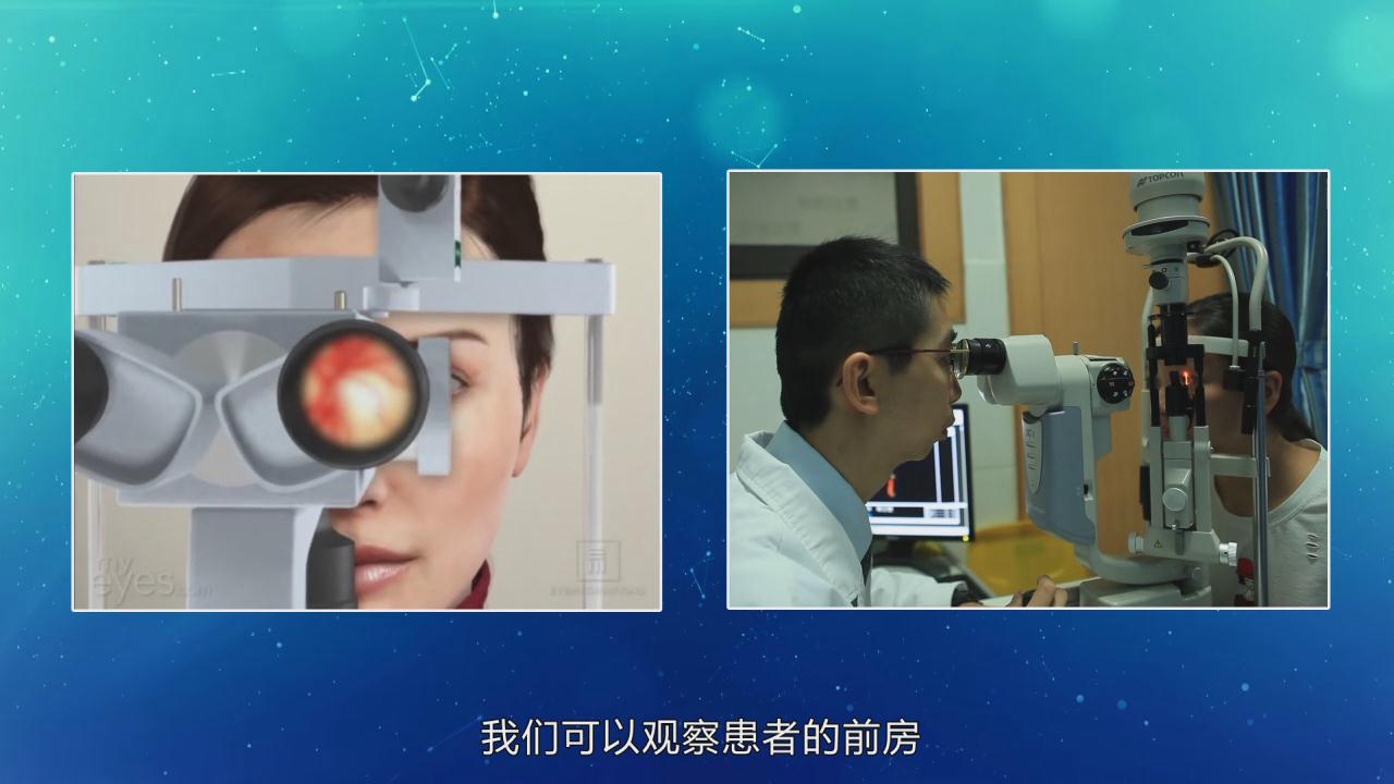 &#76;&#69;&#84;&#79;&#85;&#46;&#67;&#79;&#77;&#45;&#20048;&#25237;&#65288;&#20013;&#22269;&#65289;