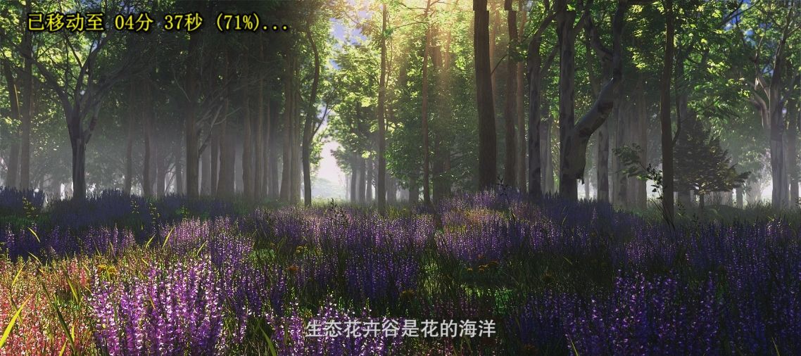 &#76;&#69;&#84;&#79;&#85;&#46;&#67;&#79;&#77;&#45;&#20048;&#25237;&#65288;&#20013;&#22269;&#65289;